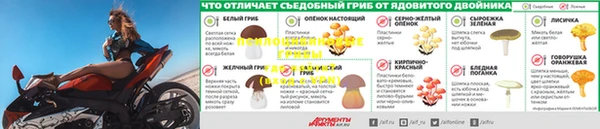 героин Абаза