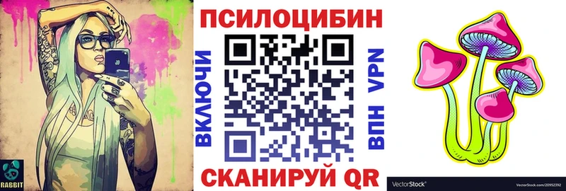 Галлюциногенные грибы Psilocybe Зеленодольск