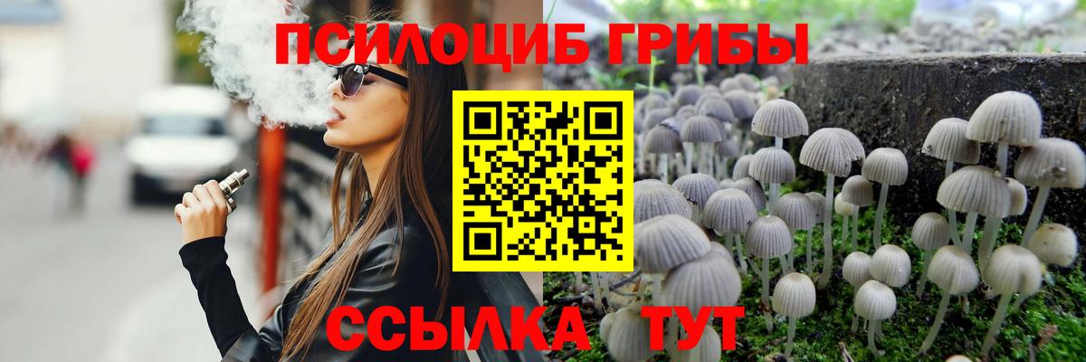 Галлюциногенные грибы Psilocybe  Вход с VPN  Зеленодольск 
